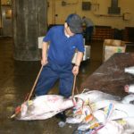 Fischmarkt in Tokio
