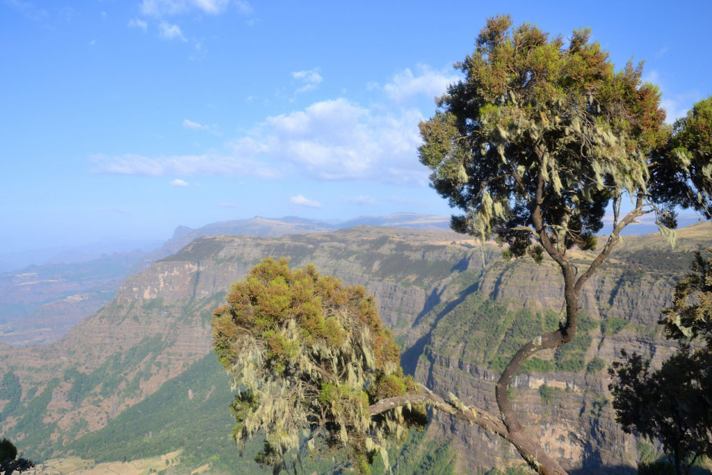 Simien Mountains