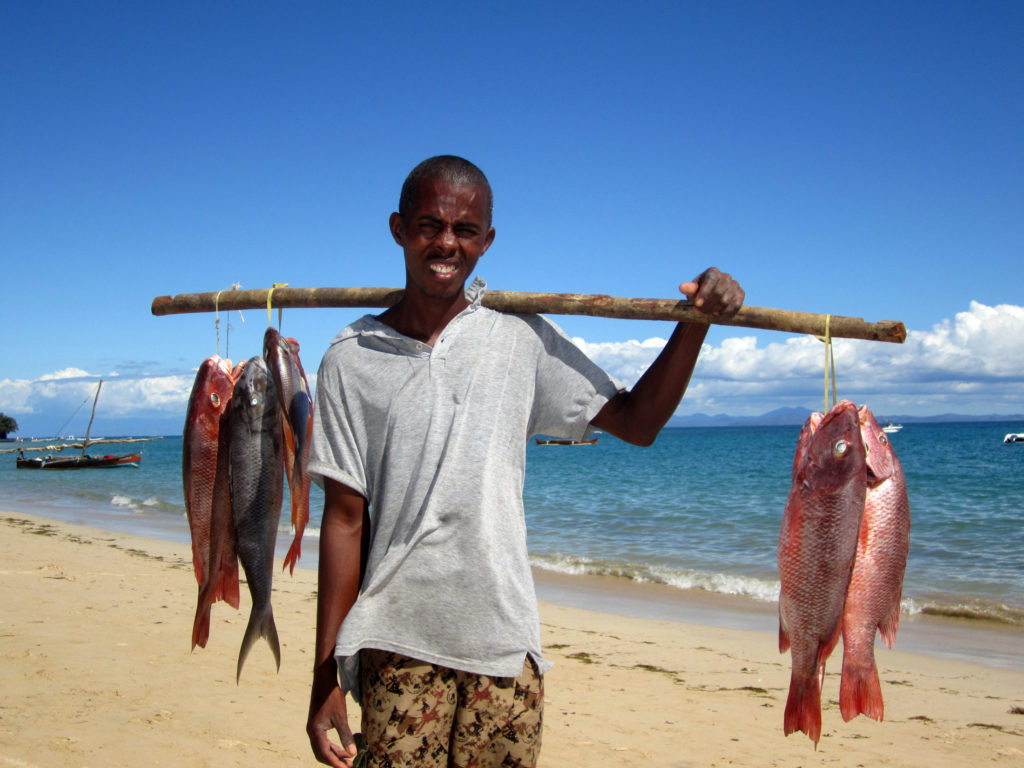 Fischfang am Strand