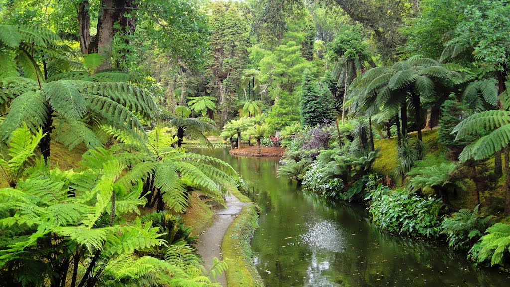 Botanischer Garten