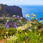 Erholungs- und Wanderreise auf der Blumeninsel im Atlantik